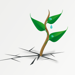 AES#002 Survival vs Thriving (2)