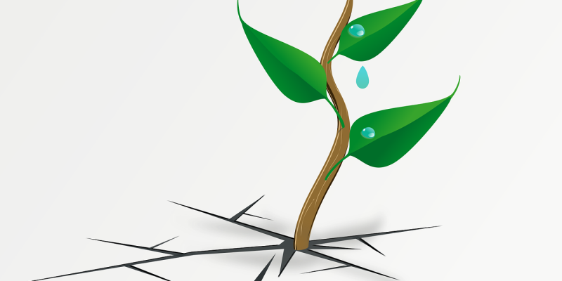 AES#002 Survival vs Thriving (2)