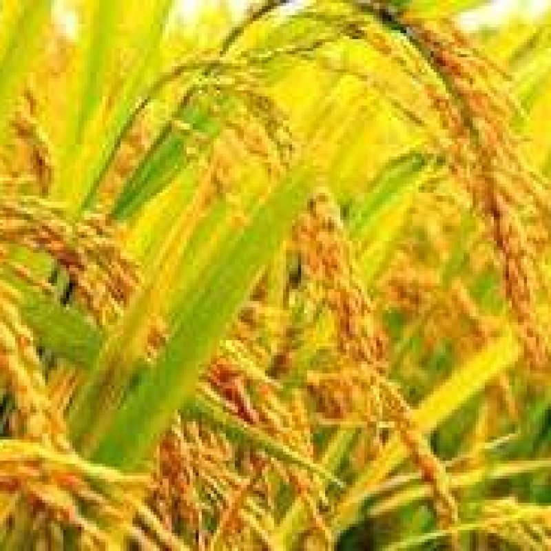 AES 1396 To Be Humble