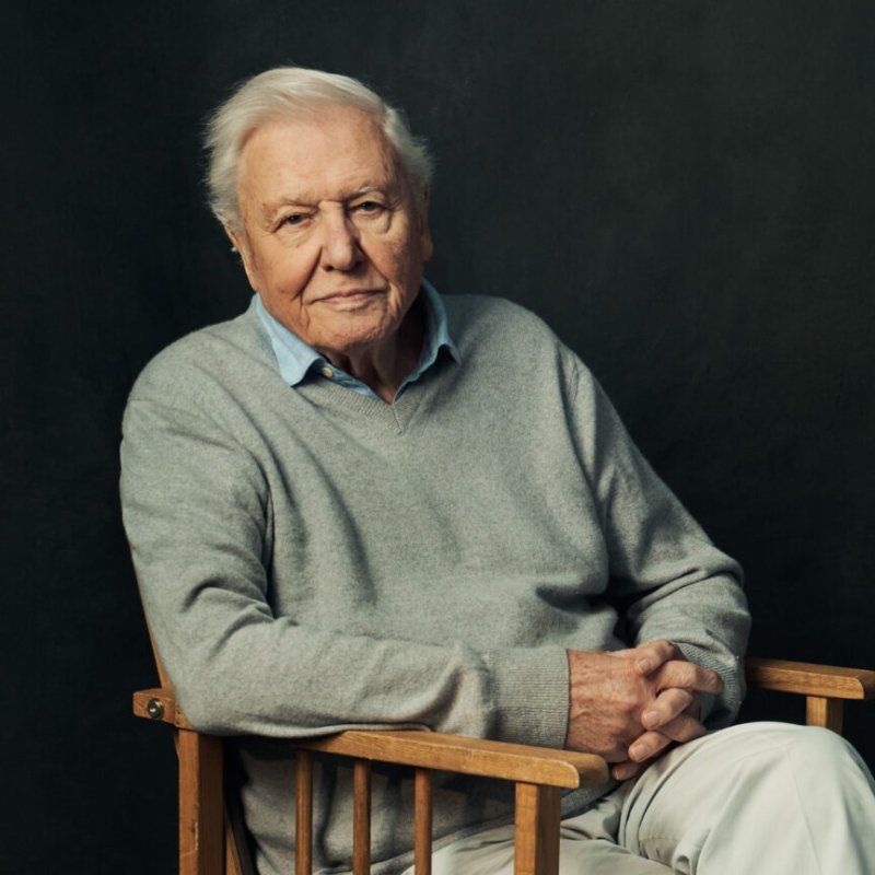 AES802 Happy Birthday Sir David