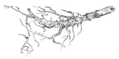 AES#012 Vagus Nerve Sebagai Jembatan Biologis Antara Tubuh dan Keheningan Batin 