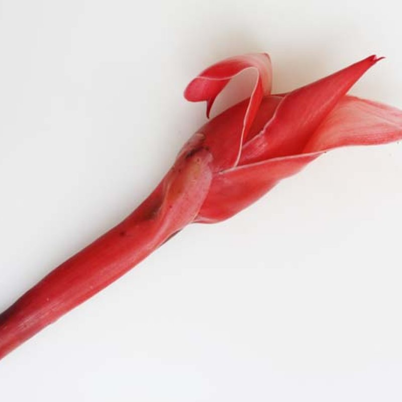 AES 1418 Bagaimana Ini?