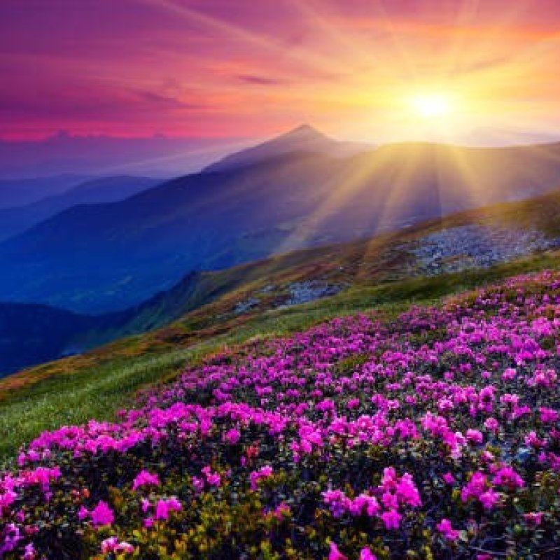 AES001 - Tentang sehari-hari (Cheryl)