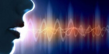 AES162 Suara Mulai Punah