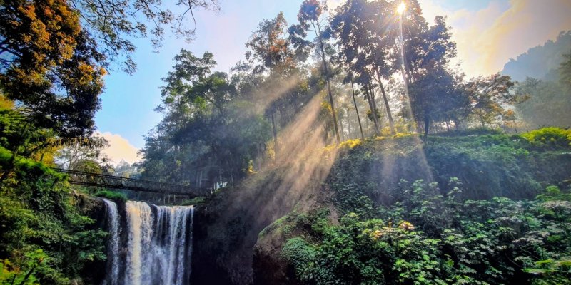 AES834 Menyapa Pagi di Tahura