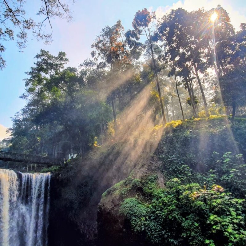 AES834 Menyapa Pagi di Tahura