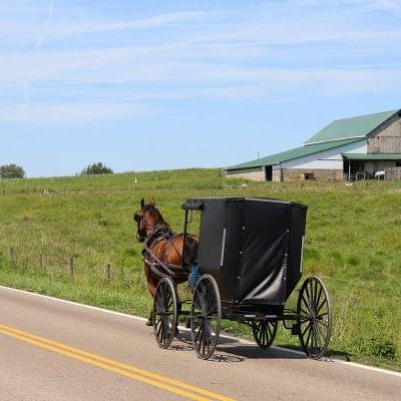 AES 1464 Renungan Sambil Ngopi