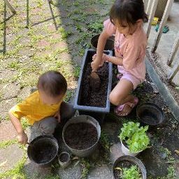 AES10 Tanaman Membawa Berkah
