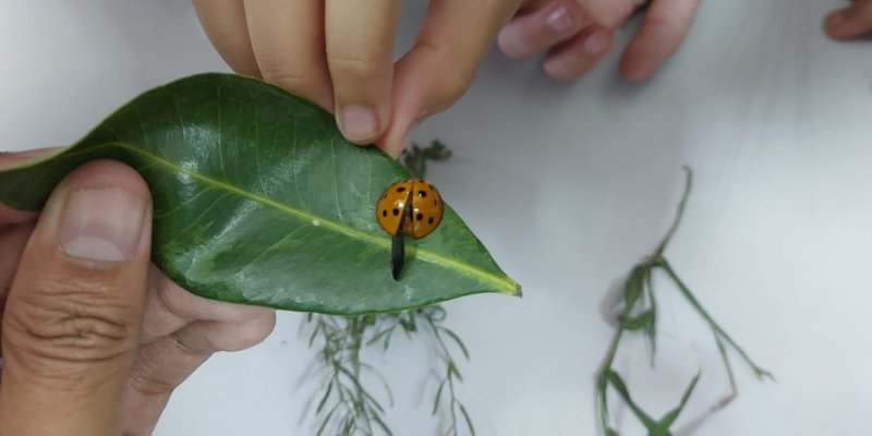 AES89 Menjadi Manusia SMIPA #2