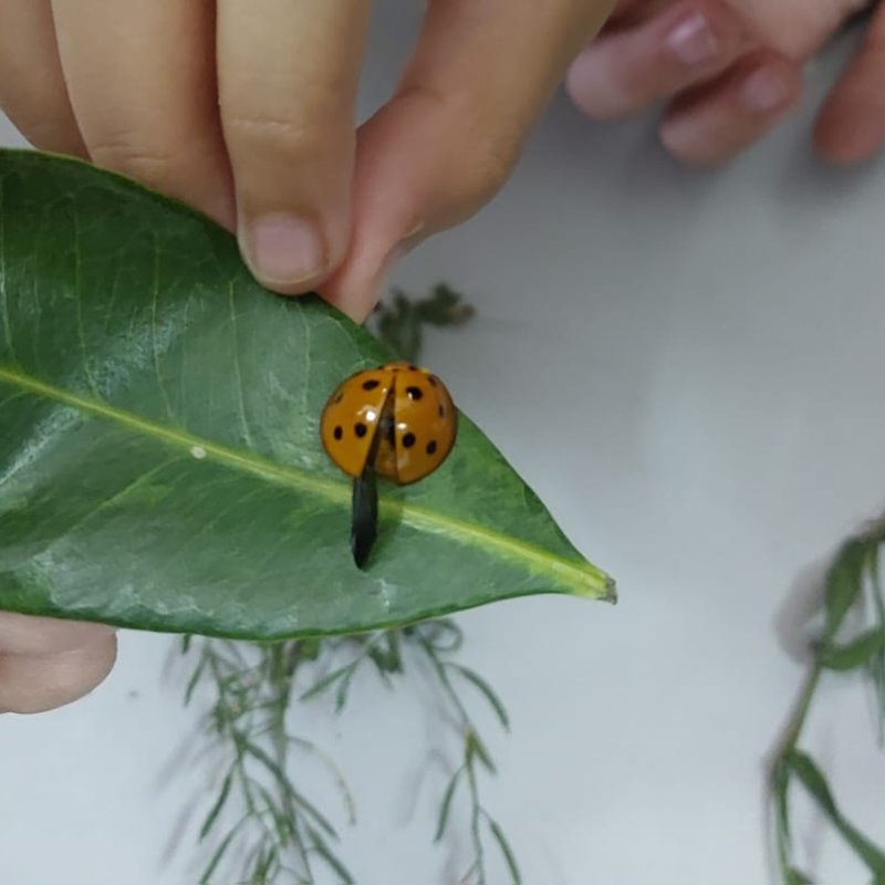 AES89 Menjadi Manusia SMIPA #2