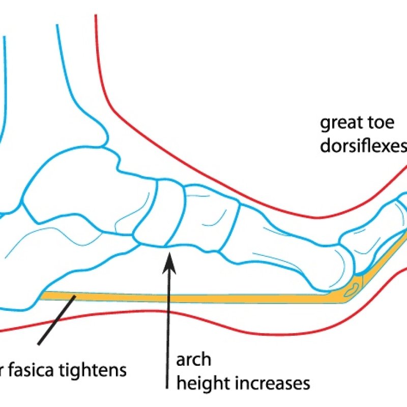AES 1497 Belajar Tentang Sepatu