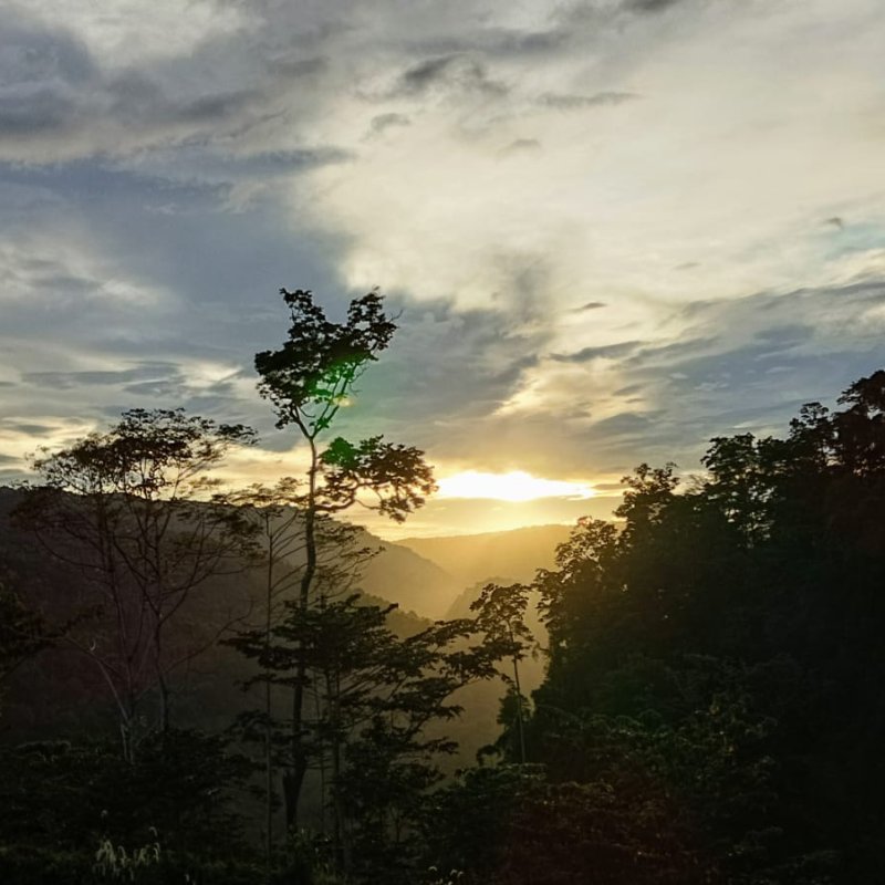 AES859 Menyentuh Papua