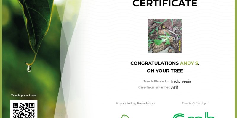 AES864 Plant a Tree 