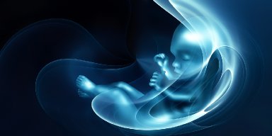 AES 14 - "Kontrak" Jiwa anak dan orang tua