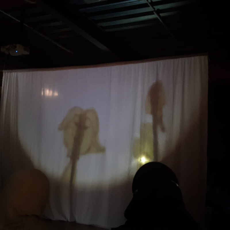 AES001 Pementasan Wayang Emosi: Kemampuan Membaca Melampaui Teks