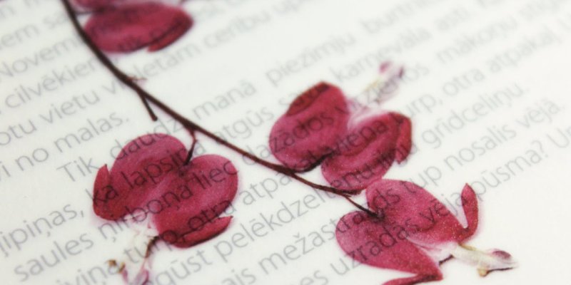 AES872 What I Wish for You