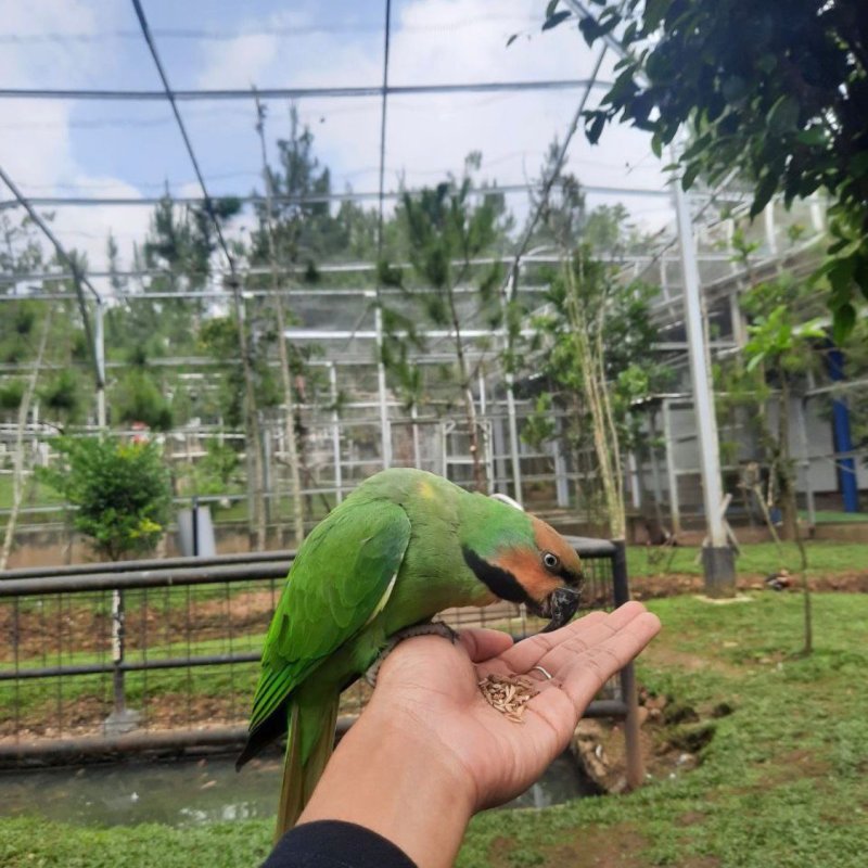 AES009 Menerima Kebaikan