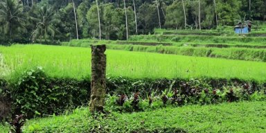 AES 27 - Rwa Bhineda