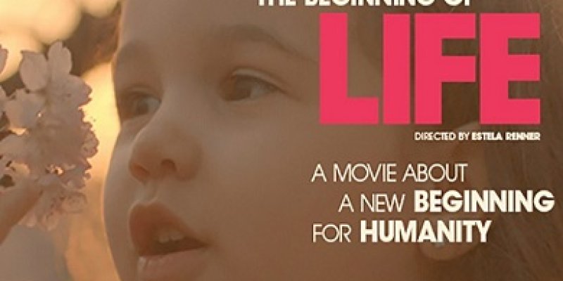 AES29  awal kehidupan