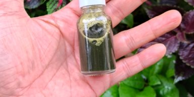 AES 30 - Usada Sunda part 2 - Ilmu pengobatan berbasis alam