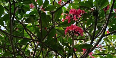 AES32 - Ketunggalan Di Balik Dualitas