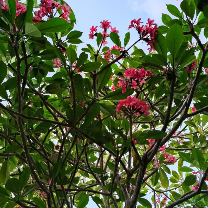 AES32 - Ketunggalan Di Balik Dualitas