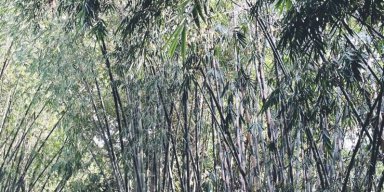 AES011 Dunia Hanya Sementara?