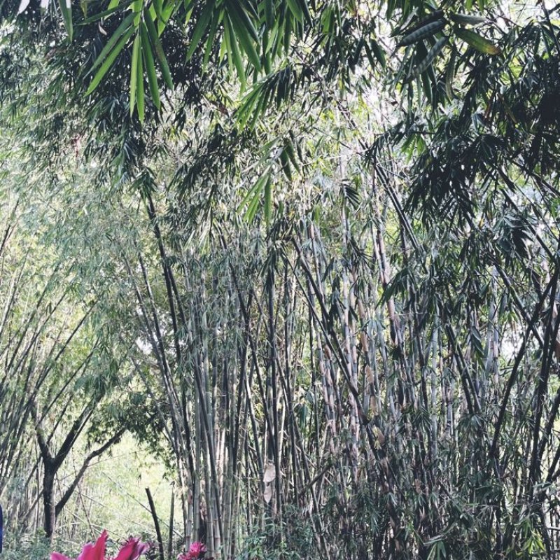 AES011 Dunia Hanya Sementara?