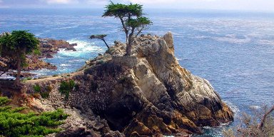 AES 1574 Keindahan, Bahasa Semesta