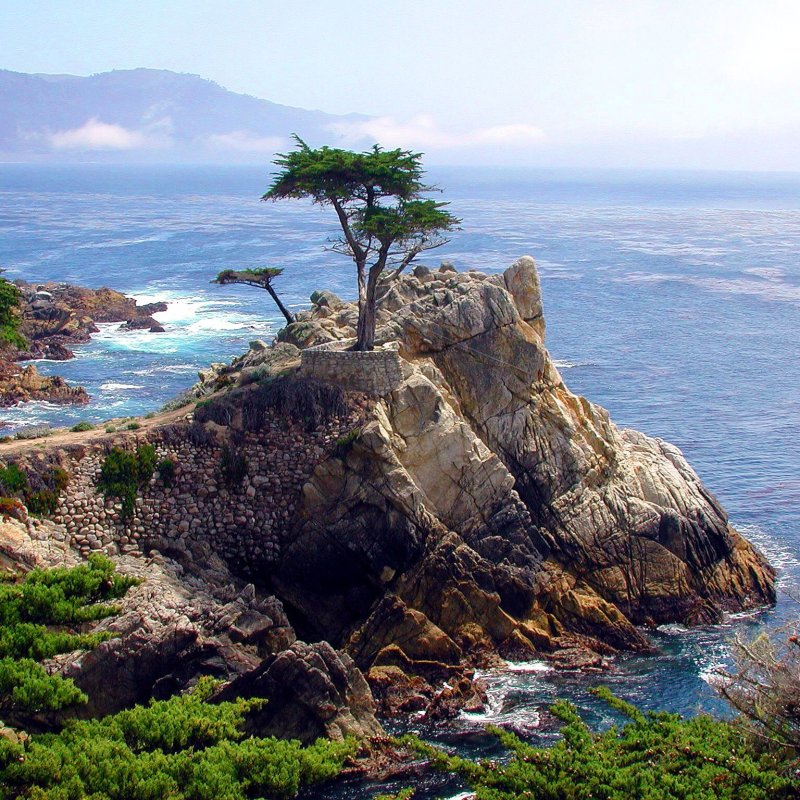 AES 1574 Keindahan, Bahasa Semesta