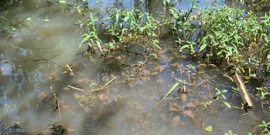 AES01 - Langkah Pertama