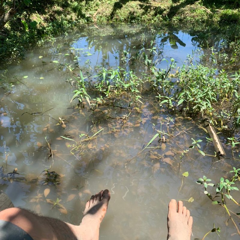 AES01 - Langkah Pertama