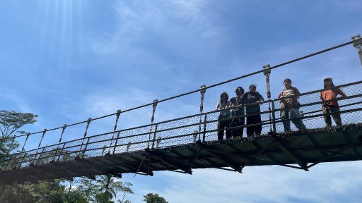 AES 30 kelapa mendinginkan kepala