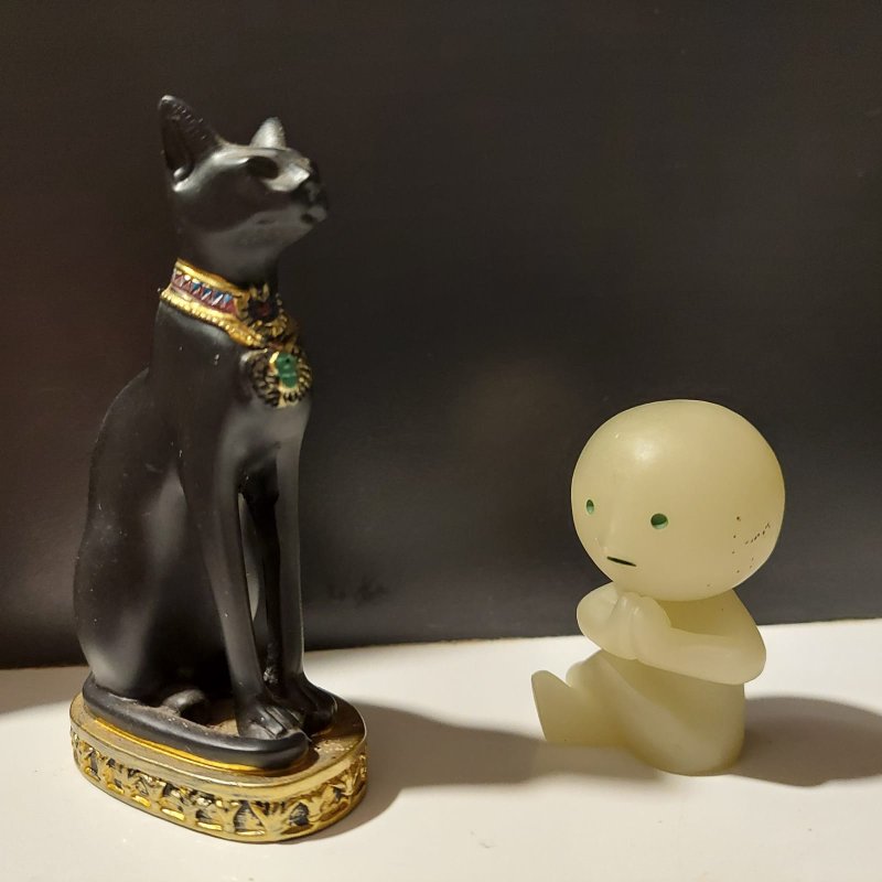 AES24 Animal Communication (2)