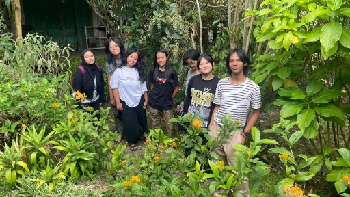 AES 36 krasan