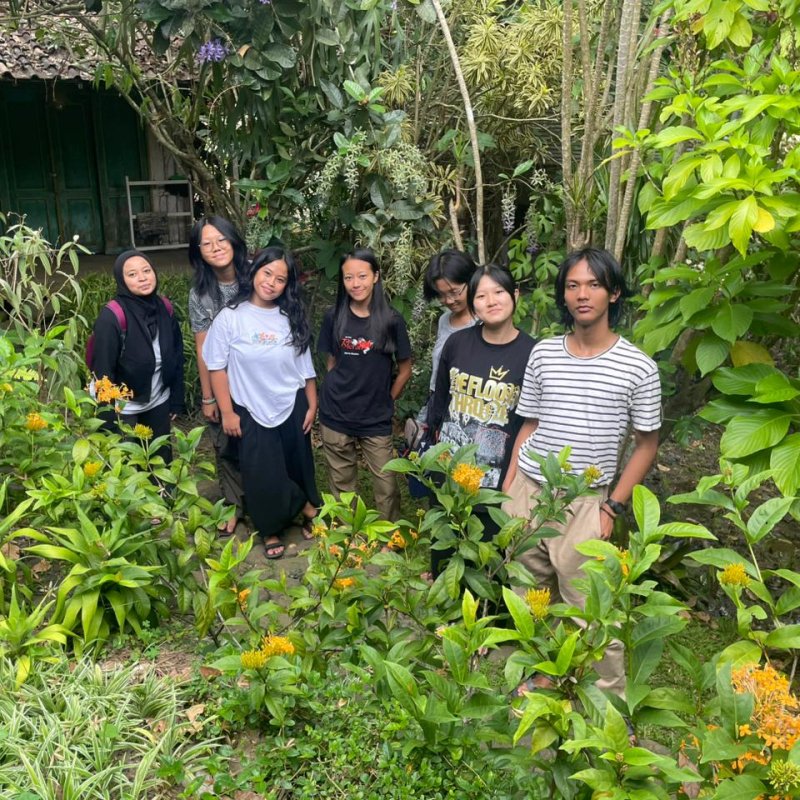 AES 36 krasan