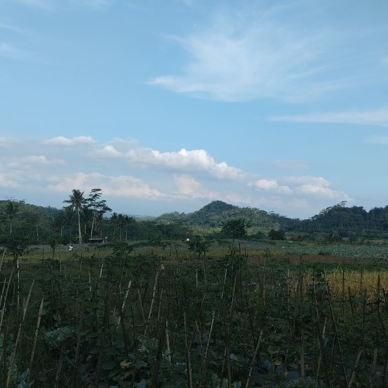 AES047_Santai Aja