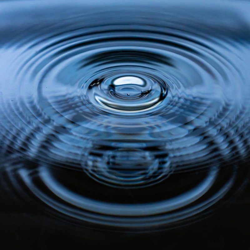 AES942 Holistic Science 