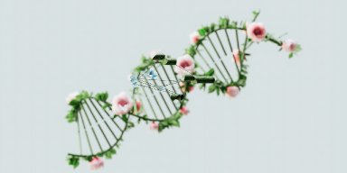 AES944 The God Code : Biologi yang Sakral