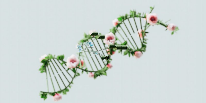 AES944 The God Code : Biologi yang Sakral