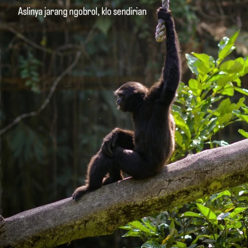 AES004 Jadi apakah kita sudah merdeka hari ini? 2