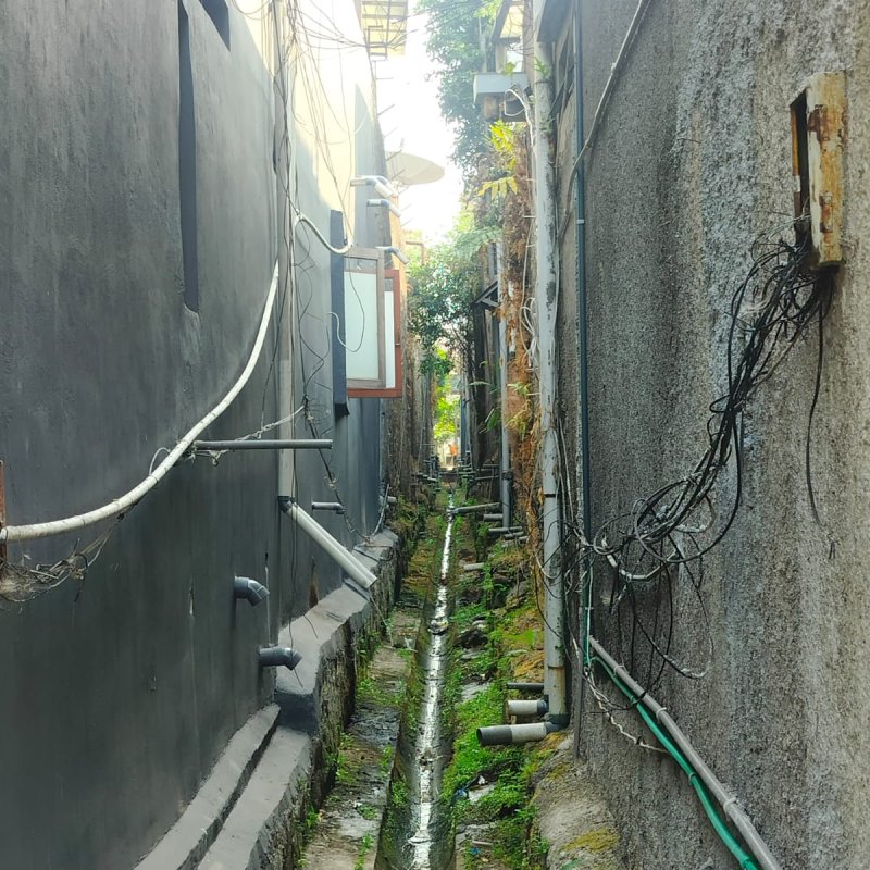 AES194 Jalan-Jalan 2 Minggu Ini
