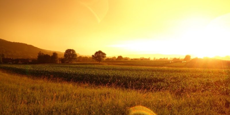 AES103 An Invincible Summer