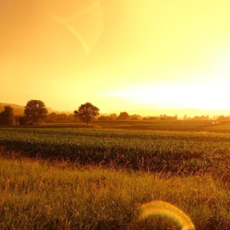 AES103 An Invincible Summer