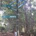 20170514_062121.jpg