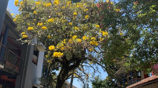 SOSIALISASI PINDAH JENJANG SD-KECIL