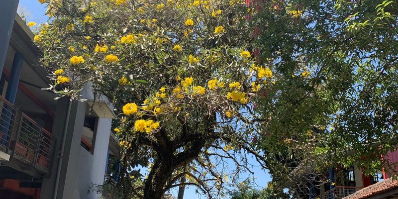 SOSIALISASI PINDAH JENJANG SD-KECIL