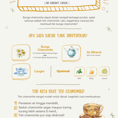 Poster Chamomile_Kiran (2)