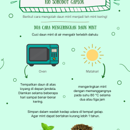 Poster Proyek Berkebun - Kelas 10 - Mengolah Mint