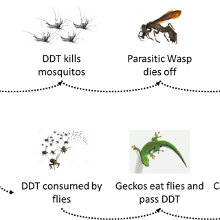 1*orSJ7Zlebb_8_N-_KVFAoA.png